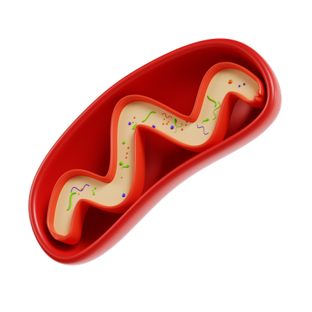 Mitochondria  3D Icon