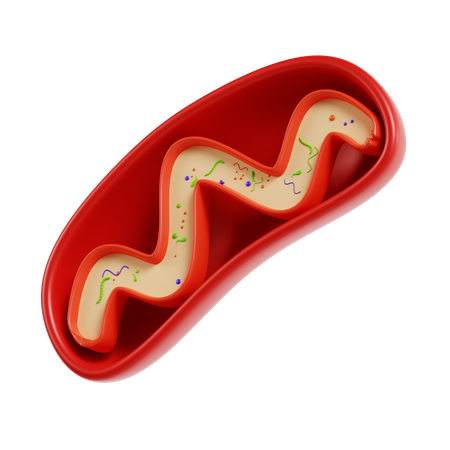 Mitocondrias  3D Icon