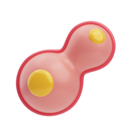 Mitosis  3D Icon