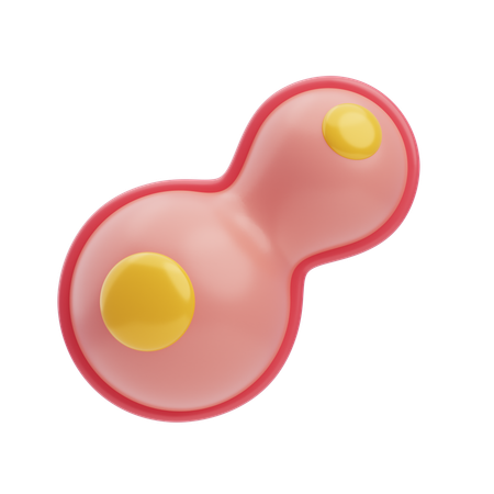Mitosis  3D Icon