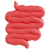 Model Of Small Intestine