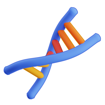 Modelo de DNA  3D Icon