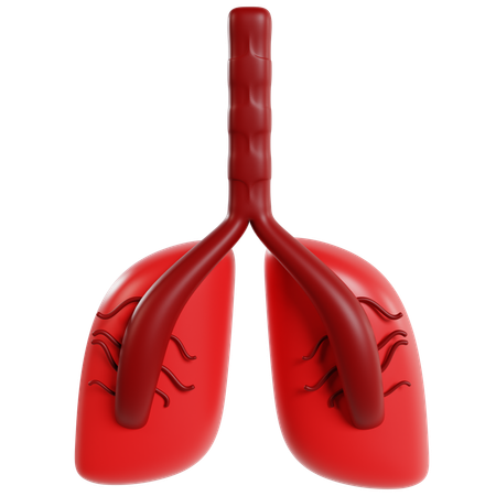 Modelo de pulmones humanos  3D Icon