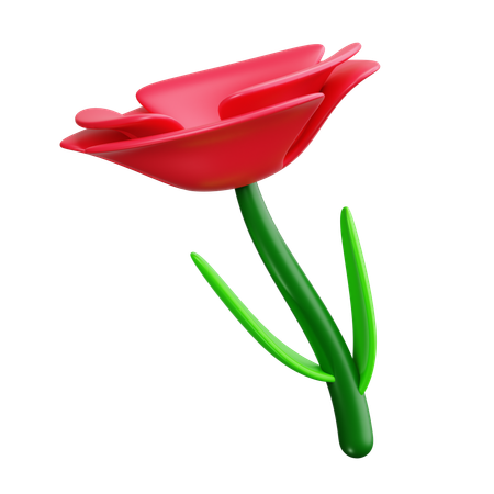 Mohn  3D Icon