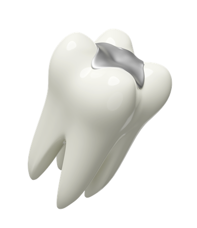 Modèle de dents molaires  3D Illustration