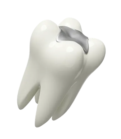 Modèle de dents molaires  3D Illustration