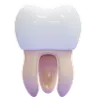 MOLAR