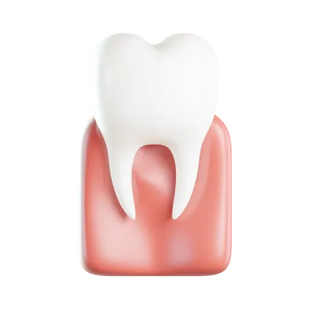 Molar  3D Icon