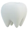 Molar Tooth