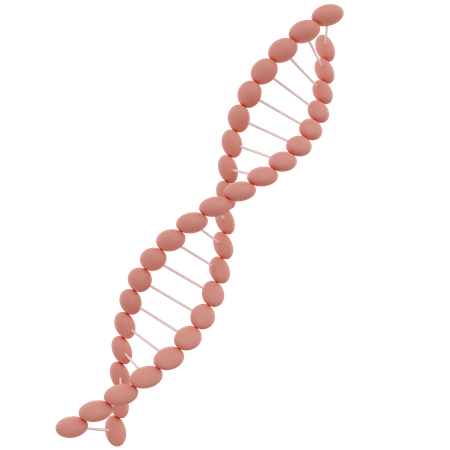 Molécula de DNA  3D Icon