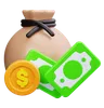 Money Bag