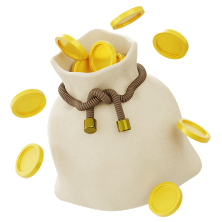 Money Bag  3D Icon