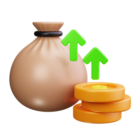 Money Bag  3D Icon