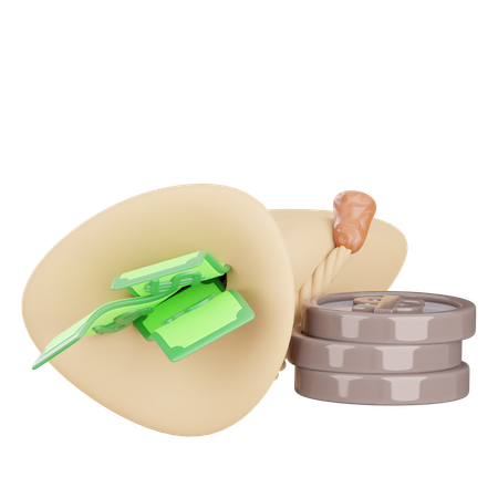 Money Bag  3D Icon