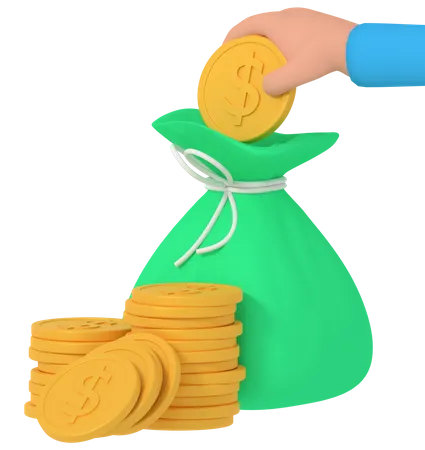 Money Bag  3D Icon