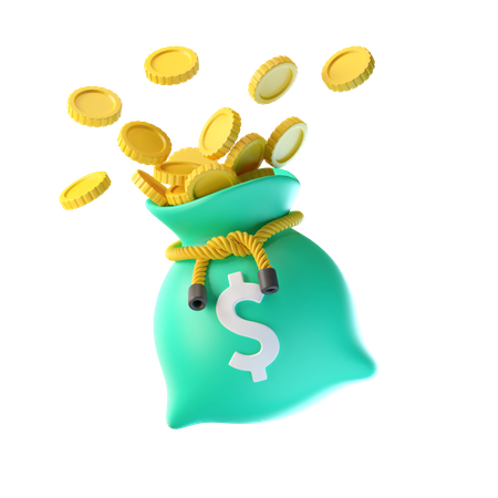 Money Bag  3D Illustration