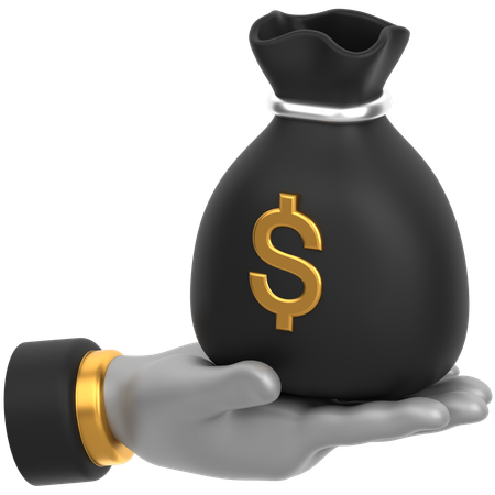 Money Bag Hand  3D Icon