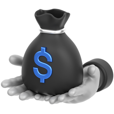 Money Bag In Hand  3D Icon
