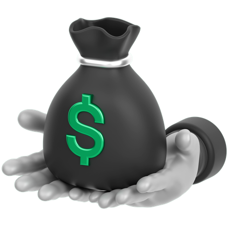 Money Bag In Hand  3D Icon