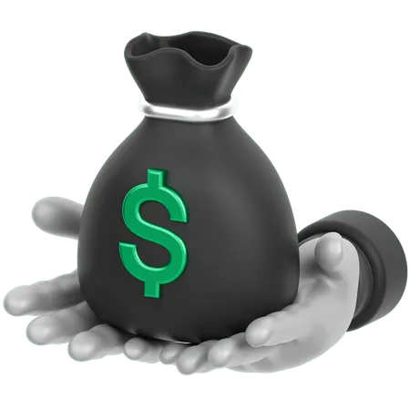 Money Bag In Hand  3D Icon