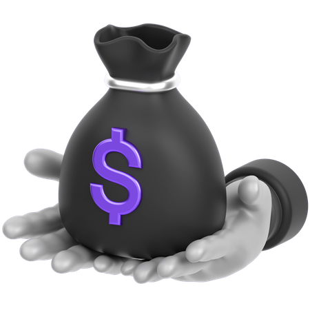 Money Bag In Hand  3D Icon