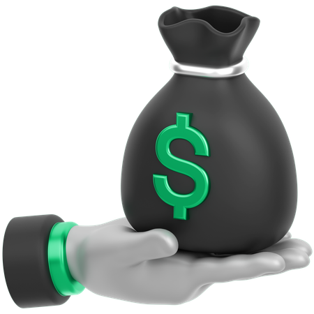 Money Bag In Hand Single  3D Icon