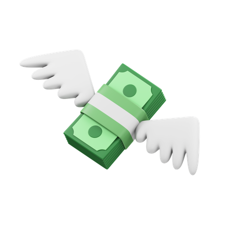 Money fly  3D Icon