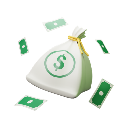 Money in Bag  3D Illustration