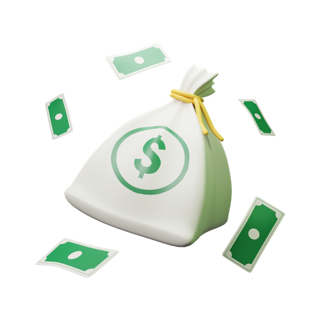 Money in Bag  3D Illustration