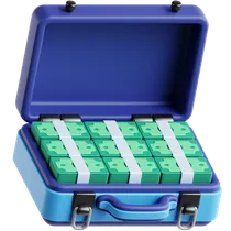 Money In Briefcase