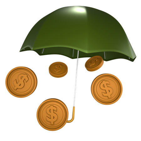 Money Insurance  3D Icon