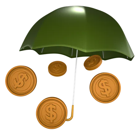 Money Insurance  3D Icon