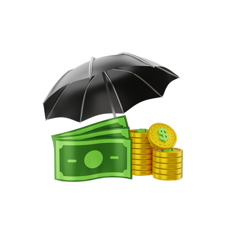 Money Insurance  3D Icon