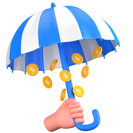 Money Insurance  3D Icon