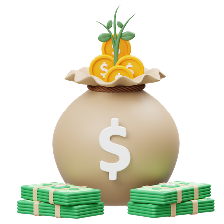 Money Investment  3D Icon