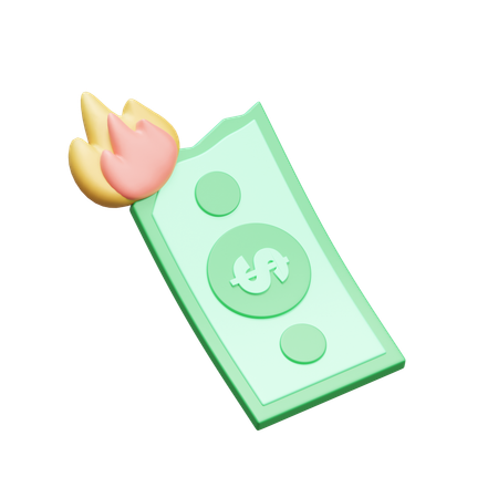 Money On Fire  3D Icon