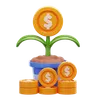 Money Plant