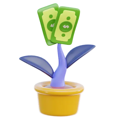 Money Plant  3D Icon