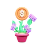 Money plant