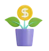 Money Plant