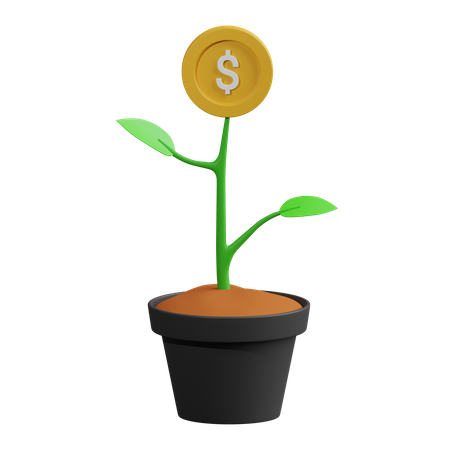 Money Plant  3D Icon