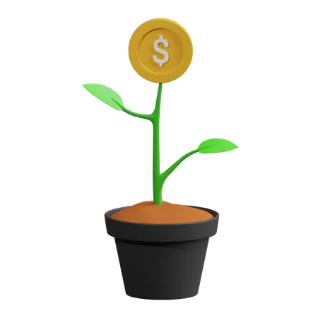 Money Plant  3D Icon