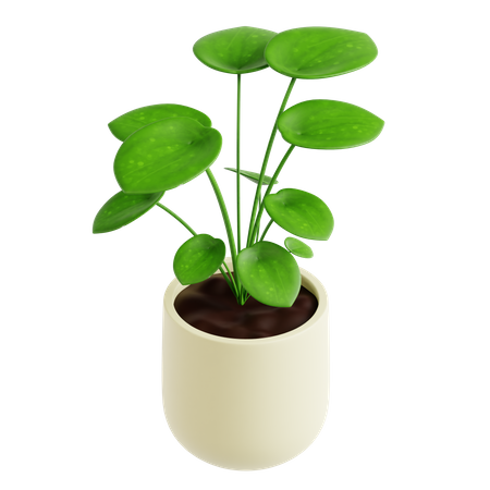 Money Plant  3D Icon
