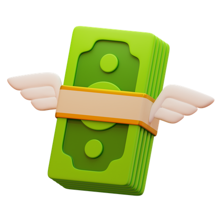 Money Wings  3D Icon