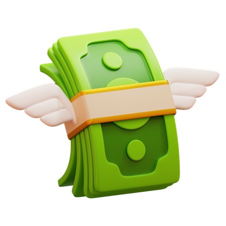 Money Wings  3D Icon