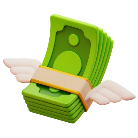 Money Wings  3D Icon