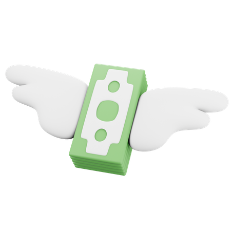 Money Wings  3D Icon