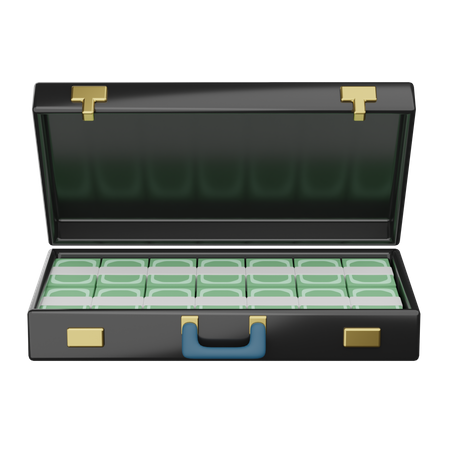 Moneybriefcase  3D Icon