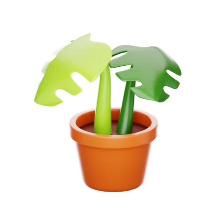 A Striking 3 D Rendering Of A Tropical Monstera Plant With Two Glossy Leaves Potted In A Classic Terracotta Container 3D Icon