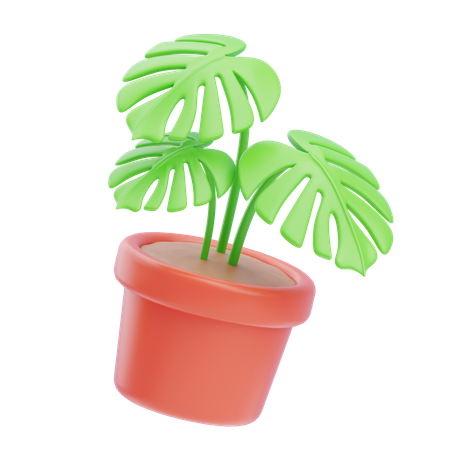 Monstera  3D Icon